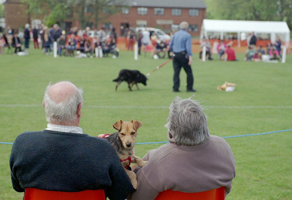 barber-dog-show06.jpg