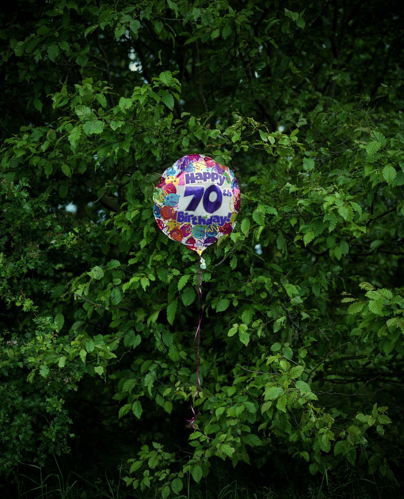 barber-balloon-bush-roadside02.jpg