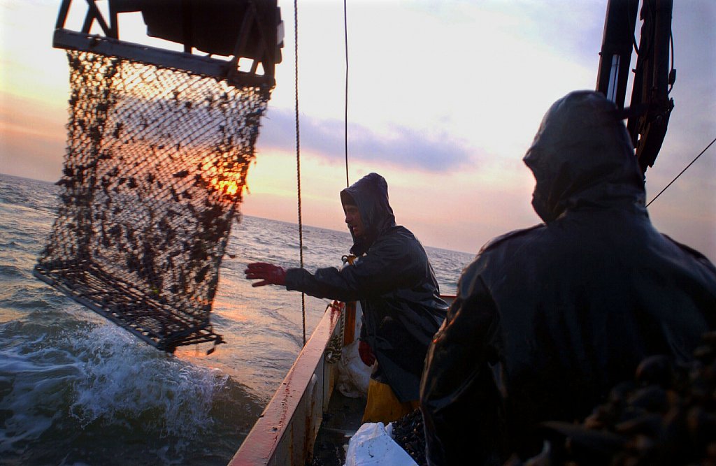 barber-wash-mussel-fishermenbarber-wash-mussel-fishermen09.jpg