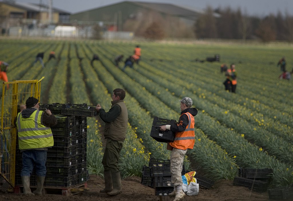 ©barber-migrant-farm-workers-02