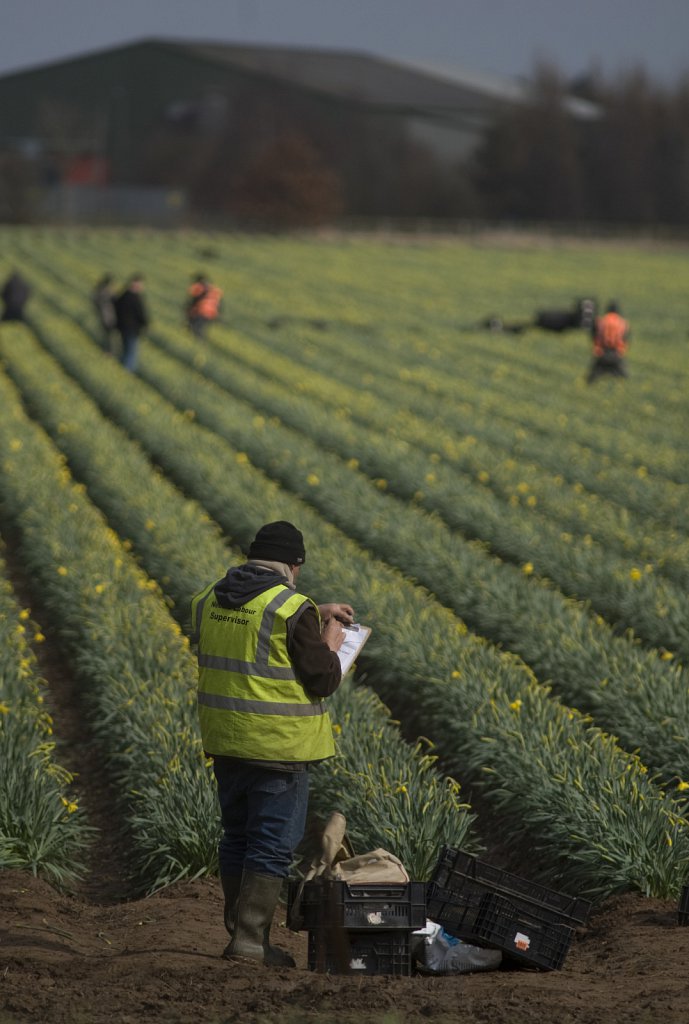 ©barber-migrant-farm-workers-08