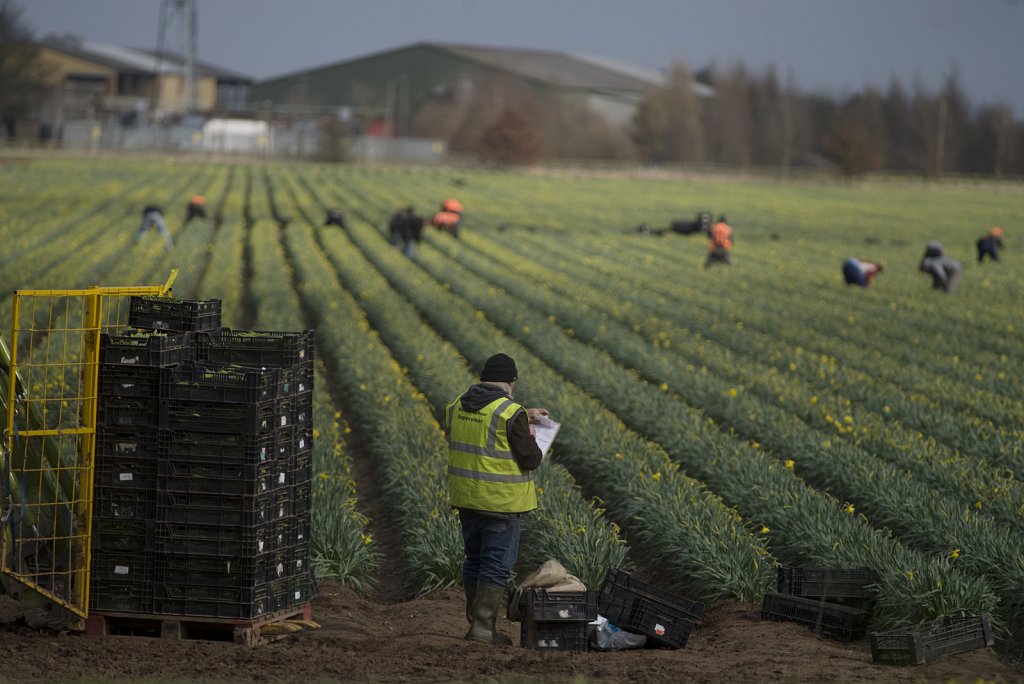 ©barber-migrant-farm-workers-09