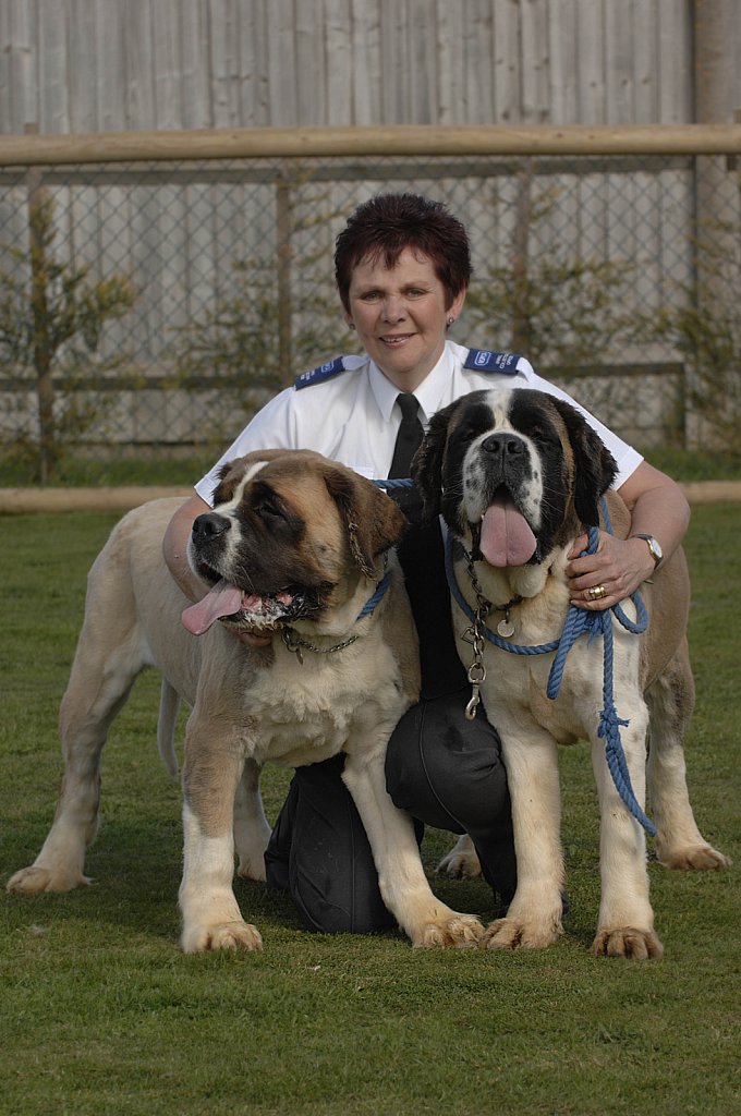 barber-rspca-st-bernard19.jpg