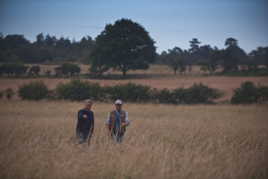 Somerleyton Rewilding