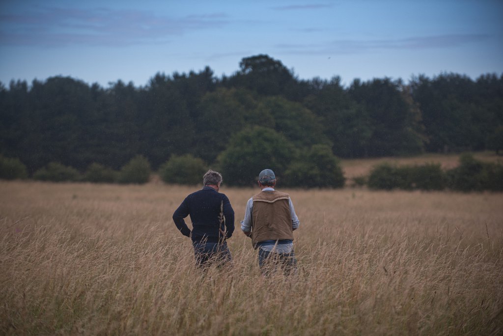 Somerleyton Rewilding