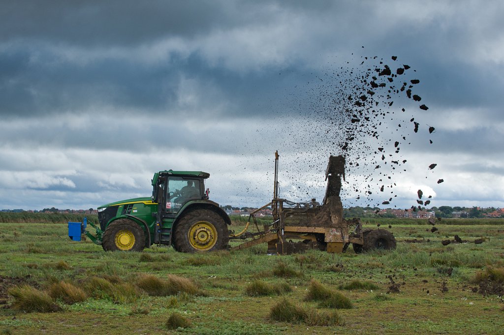 Holkham Bird Scrapes