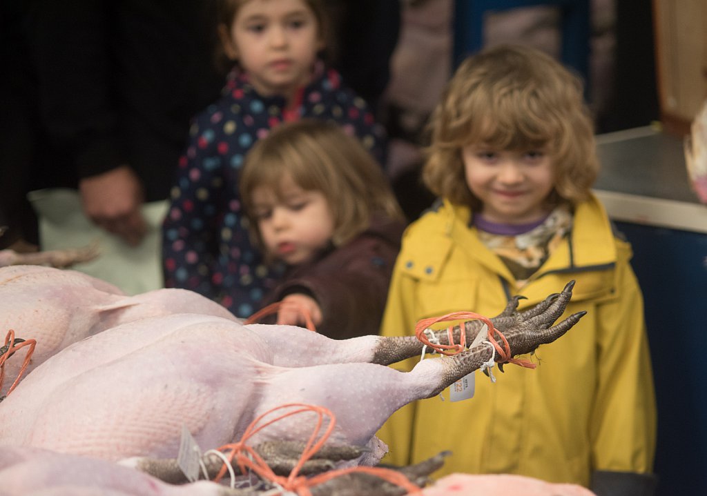 Key's Annual Poultry Auction.