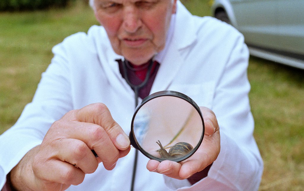  The World Snail Racing Championships.