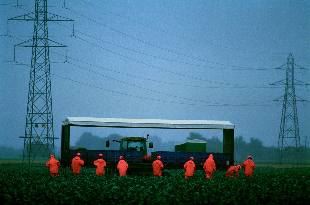 barber-migrant-farm-workers03.jpg