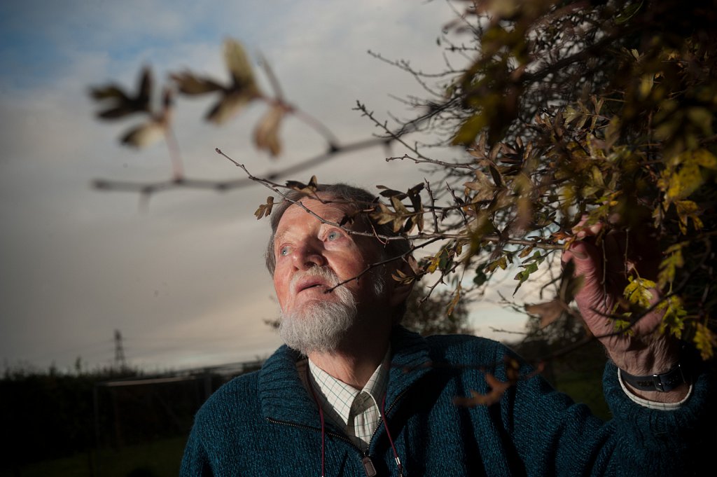 Clive King, author of Stig of the Dump.