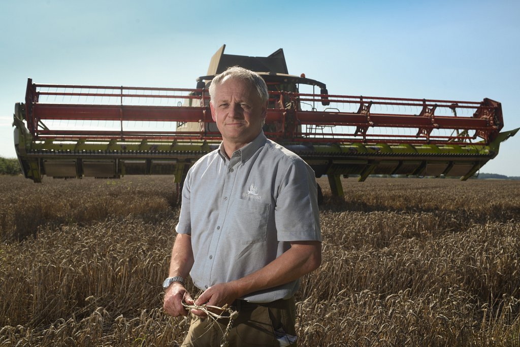 Eustin Farms Wheat Harvest