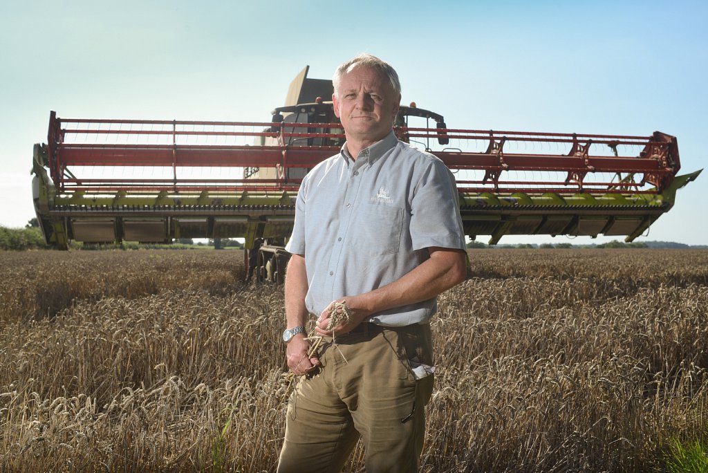 Eustin Farms Wheat Harvest