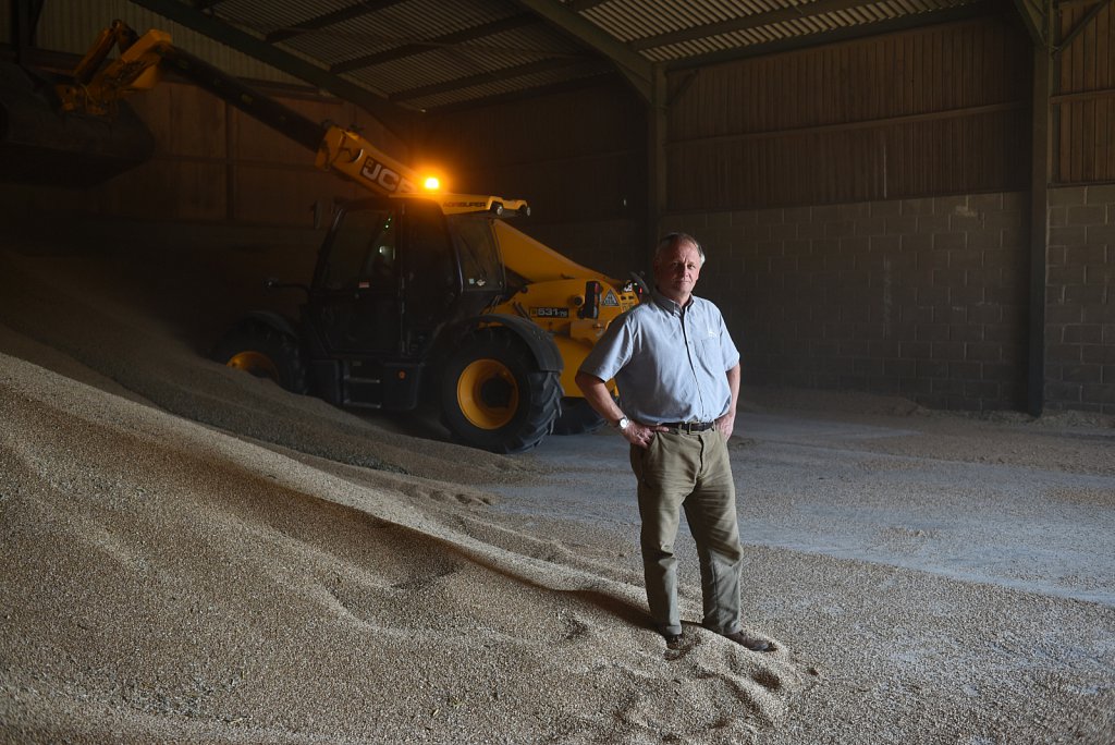 Eustin Farms Wheat Harvest